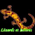 Lezardsetlettres.com